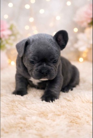 3 wicket female available