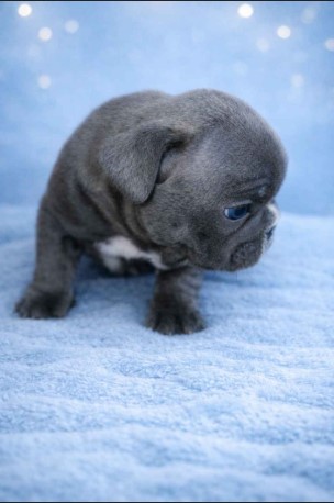 7 kylo ren male sold