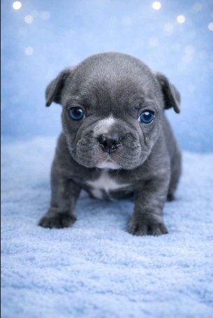 8 kylo ren male sold